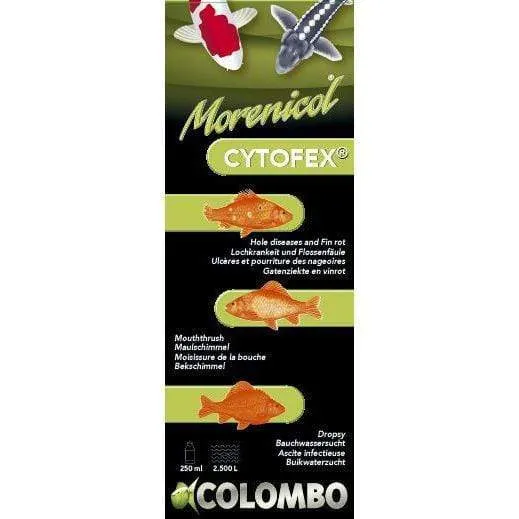 Cytofex 250ml/2500litres - Contre les infections bactériennes - Morenicol Colombo