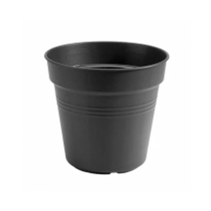 CUVELLE DRAINAGE 30L PLANTATION