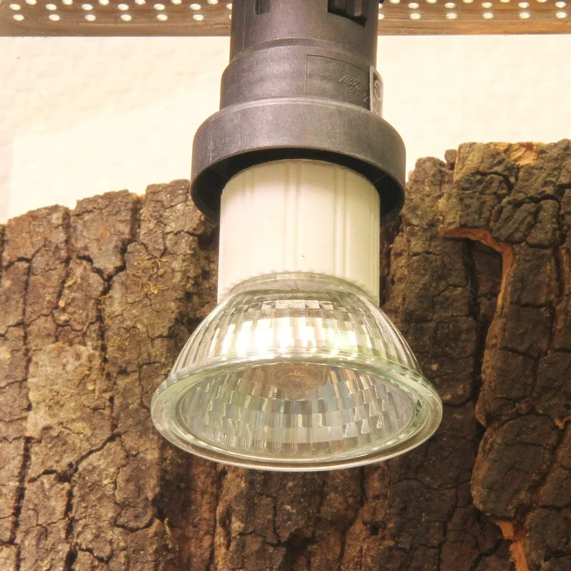 JBL ReptilDay Halogen 35W +