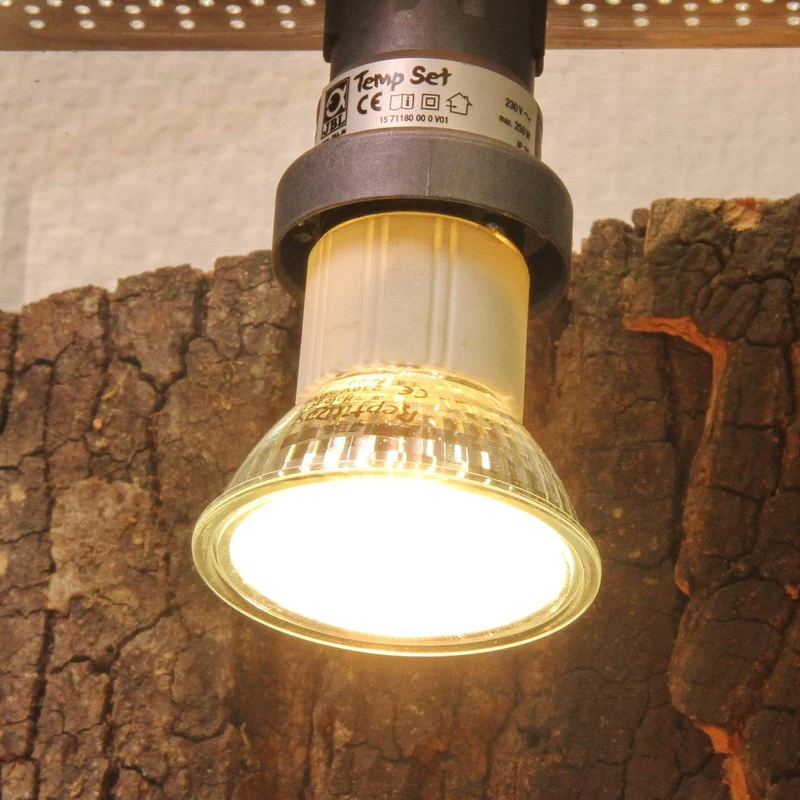 JBL ReptilDay Halogen 35W +