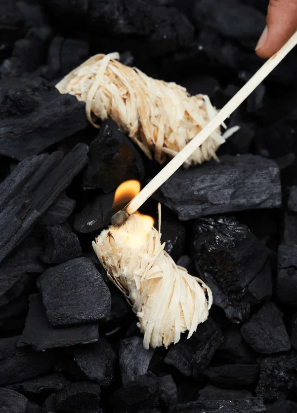 Acendedores de Lenha Barbecook