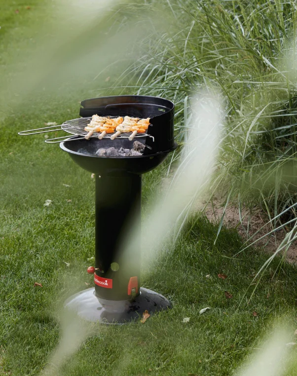 Grelhador a Carvão Barbecook LOEWY 40