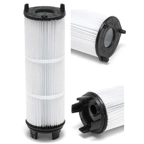 Cartouche de Remplacement Pentair Sta-Rite 25021-0200S – System 3 S7M120 (Module Intérieur)