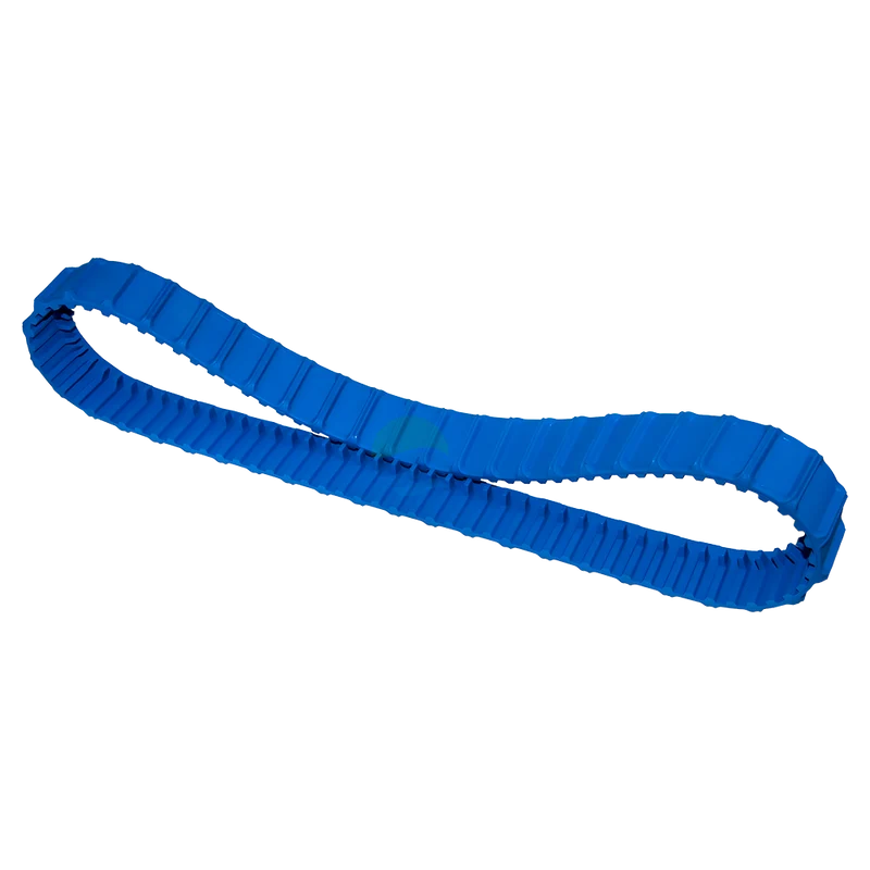 Correa S1, azul limpiafondos Dolphin