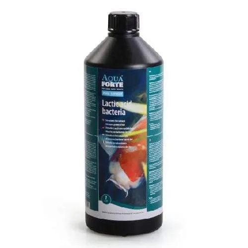 AquaForte Les bactéries lactiques 1ltr