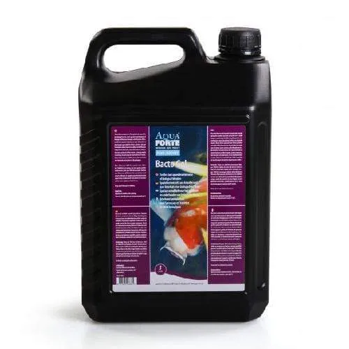 AquaForte Bacto Gel 5 litres - Bactéries vivantes en GEL