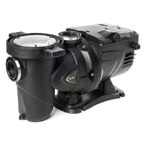 DAB E.SWIM 300 - Pompe pour piscine