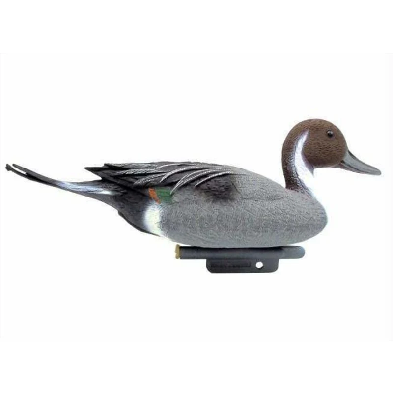 Canard pilet mâle - L48 cm