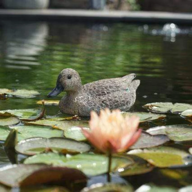 Sarcelle femelle 30CM - Canard flottant de décoration