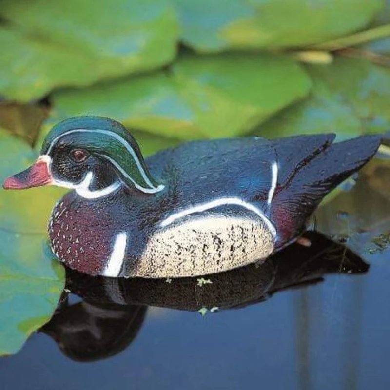 Carolina mâle 31CM - Canard flottant de décoration