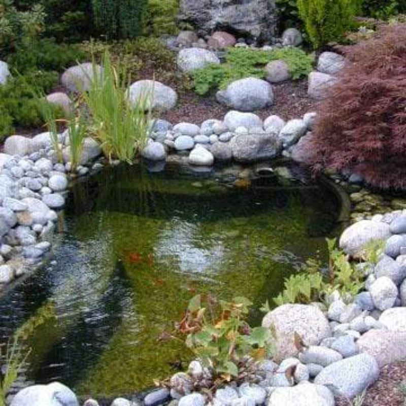 Start 750 - Bassin à enterrer 202 x 160 x 55CM - 750litres - Ubbink