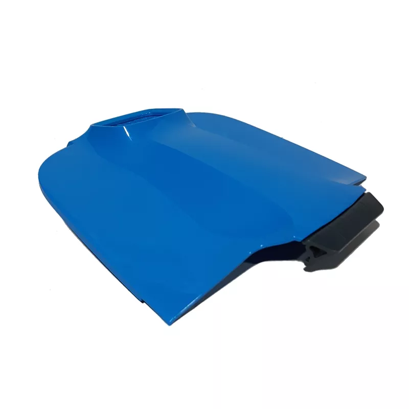 Tapa del filtro con pestillo Dolphin Maytronics – 99952119