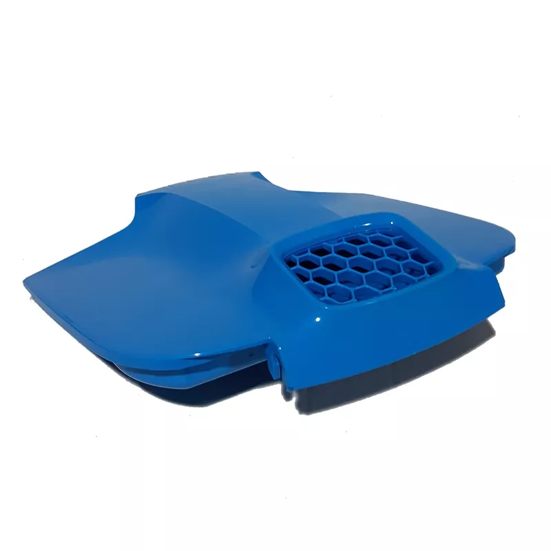 Tapa del filtro con pestillo Dolphin Maytronics – 99952119
