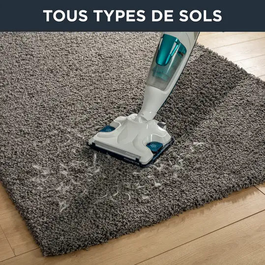 Rowenta Clean & Steam Revolution 2-en-1