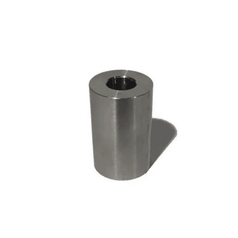 Poids de bypass Maytronics Dolphin (3726283)