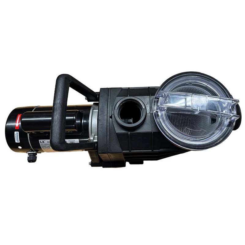 Pompe de piscine creusée LX 1 HP