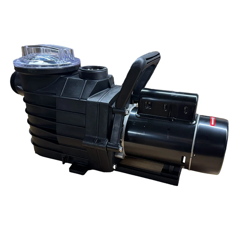 Pompe de piscine creusée LX 1 HP