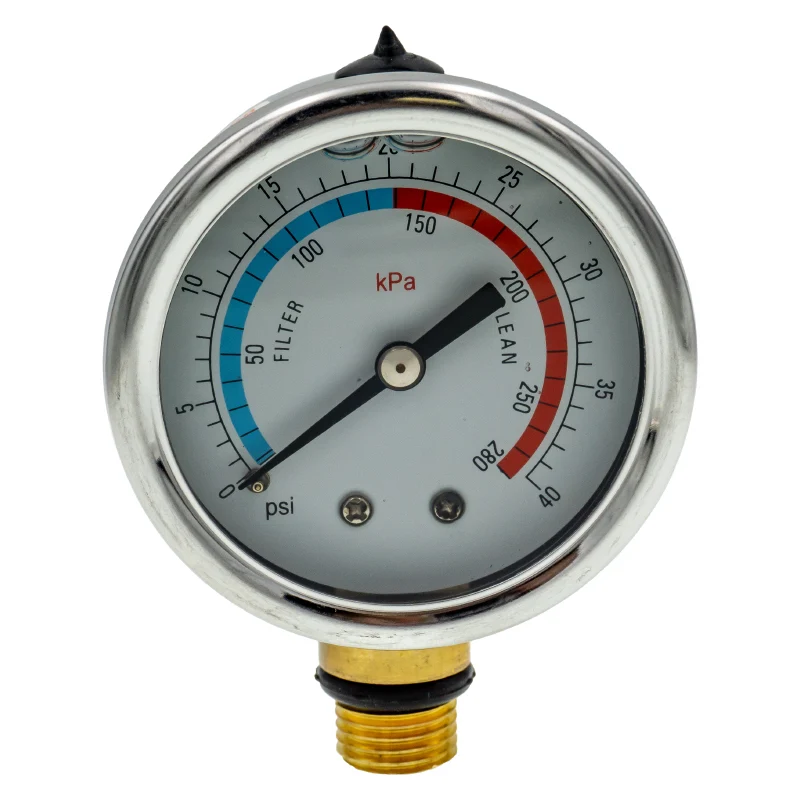 Manometro con junta para filtro S500 / S650 Bluetank de HidroWater
