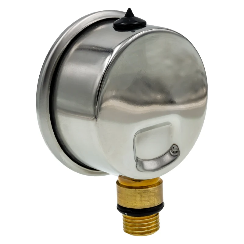 Manometro con junta para filtro S500 / S650 Bluetank de HidroWater