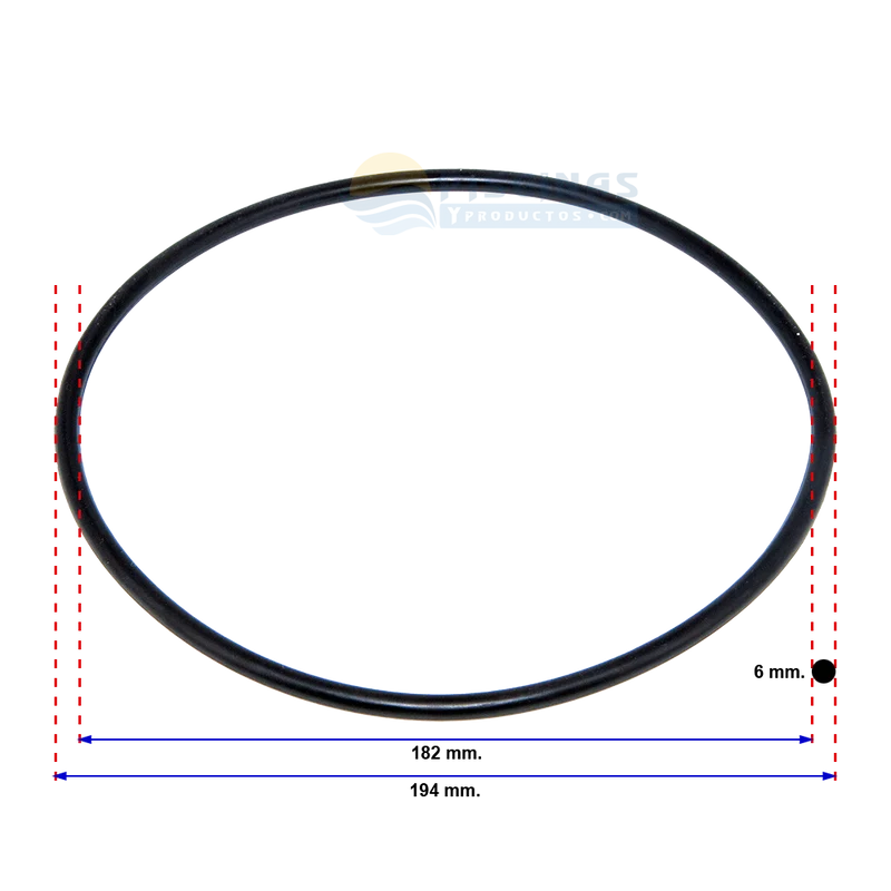 Junta tórica tapa filtro Astralpool Cantabric.
