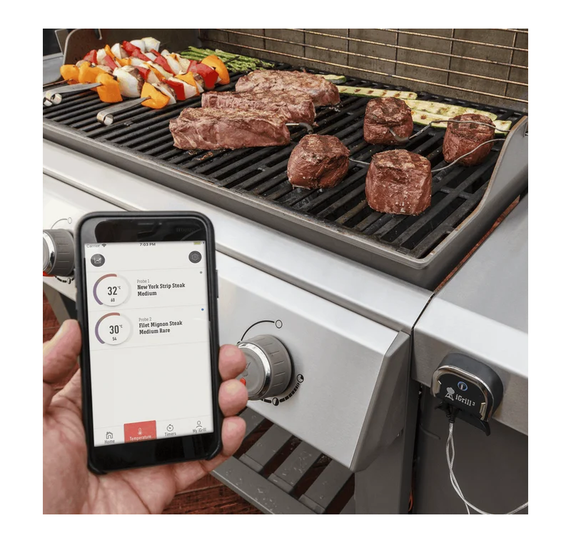 Termómetro Weber iGrill Mini