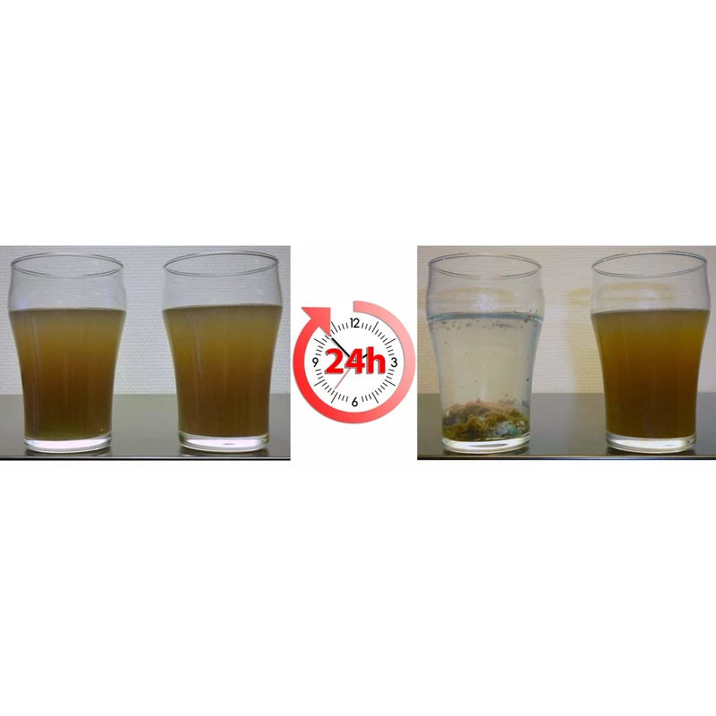 Pond Zinger Anti Phosphate Bassin Anti-Algues