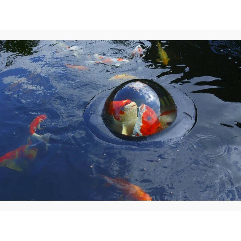 Floating Fish Dome M Ø56 x 24CM - Velda
