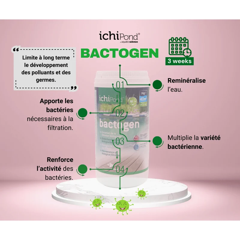 Bactogen pour 6m³ - Bactéries d'entretien de la filtration & maintenance du bassin