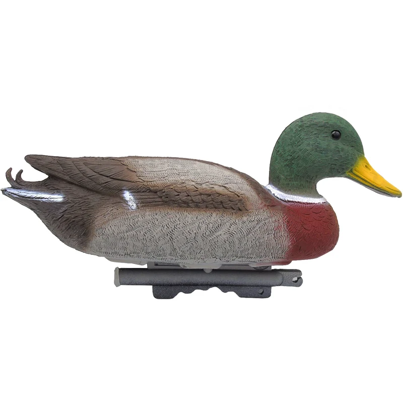 Colvert mâle - Canard flottant de décoration