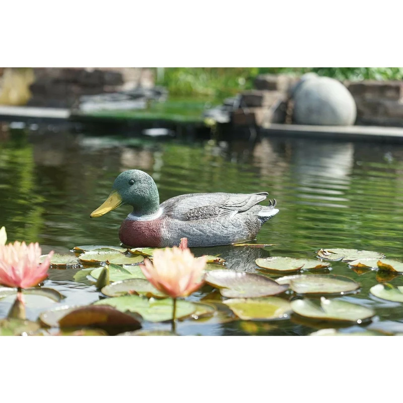 Colvert mâle - Canard flottant de décoration