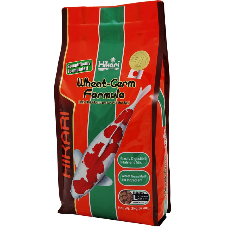 Hikari Wheat-Germ - Large 2kg - Facile à digérer, même en hiver !