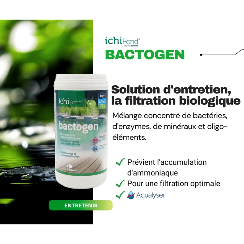 Bactogen pour 12m³ - Bactéries d'entretien de la filtration & maintenance de bassin