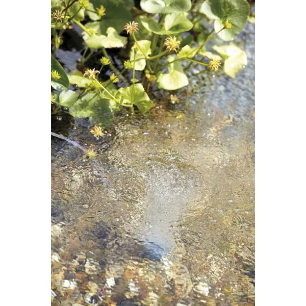 AquaOxy 1000 - Kit complet d'aération pour bassin de 5 à 10m³ - Oase