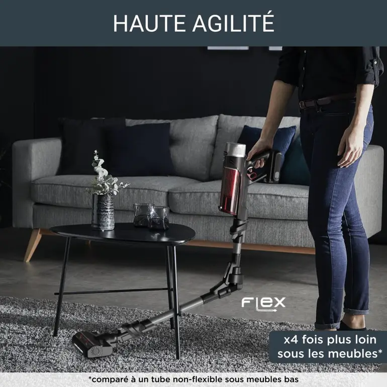 Rowenta Aspirateur balai X-Force Flex 9.60 Kit Animal