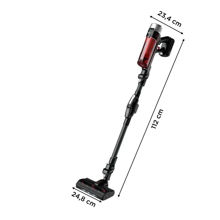 Rowenta Aspirateur balai X-Force Flex 9.60 Kit Animal
