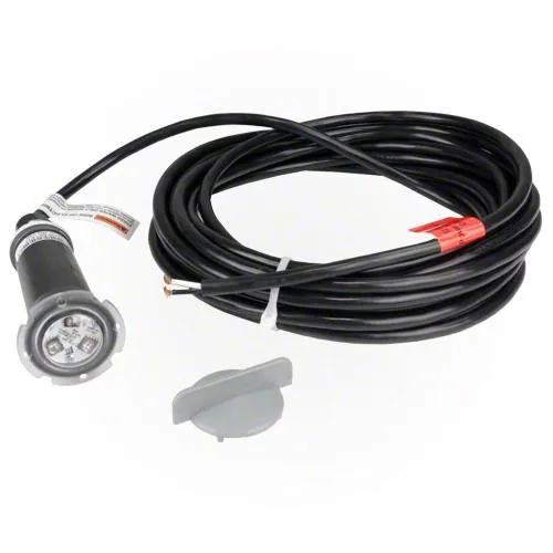 Lumière LED Pentair GloBrite Blanche 100’ – Éclairage Piscine et Spa 12V
