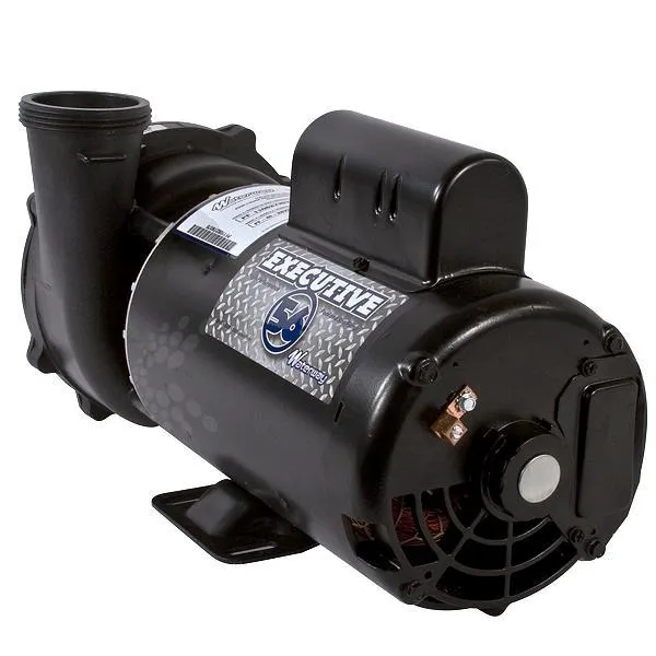 Pompe de spa Waterway Executive 56 – 4 HP, 230 V, 2 vitesses