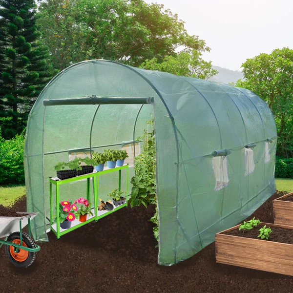 Serre Polytunnel 25mm 6m x 3m avec Étagères