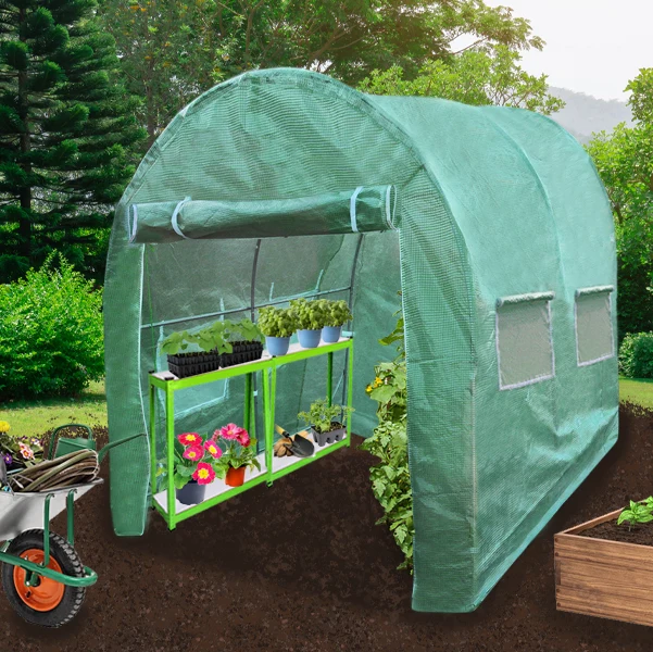 Serre Polytunnel 25mm 3m x 2m avec Étagères