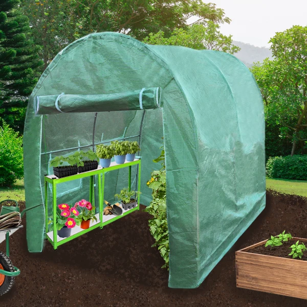 Serre Polytunnel 19mm 3m x 2m avec Étagères