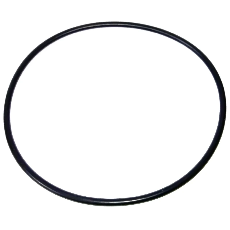 Junta tapa filtro S500/S650 Bluetank RPE-0211134