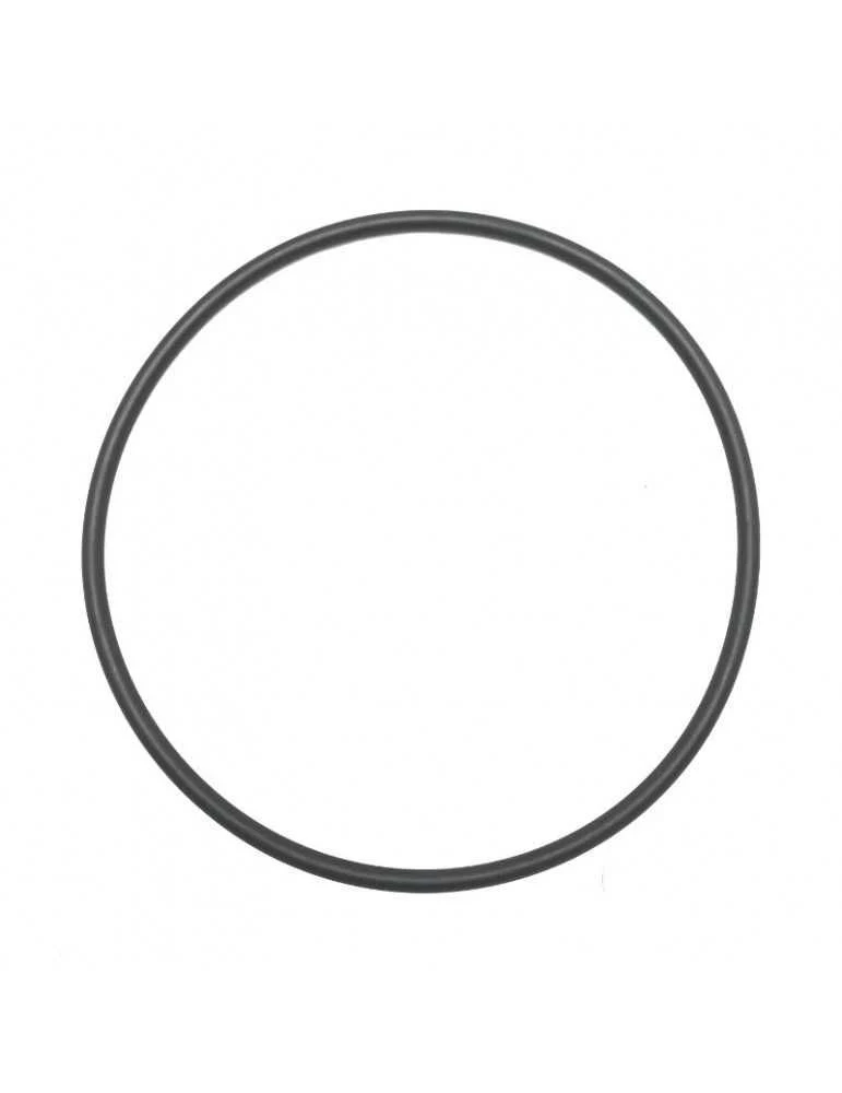 Junta cuerpo bomba Saci Winner 175 × 6 mm 92400022