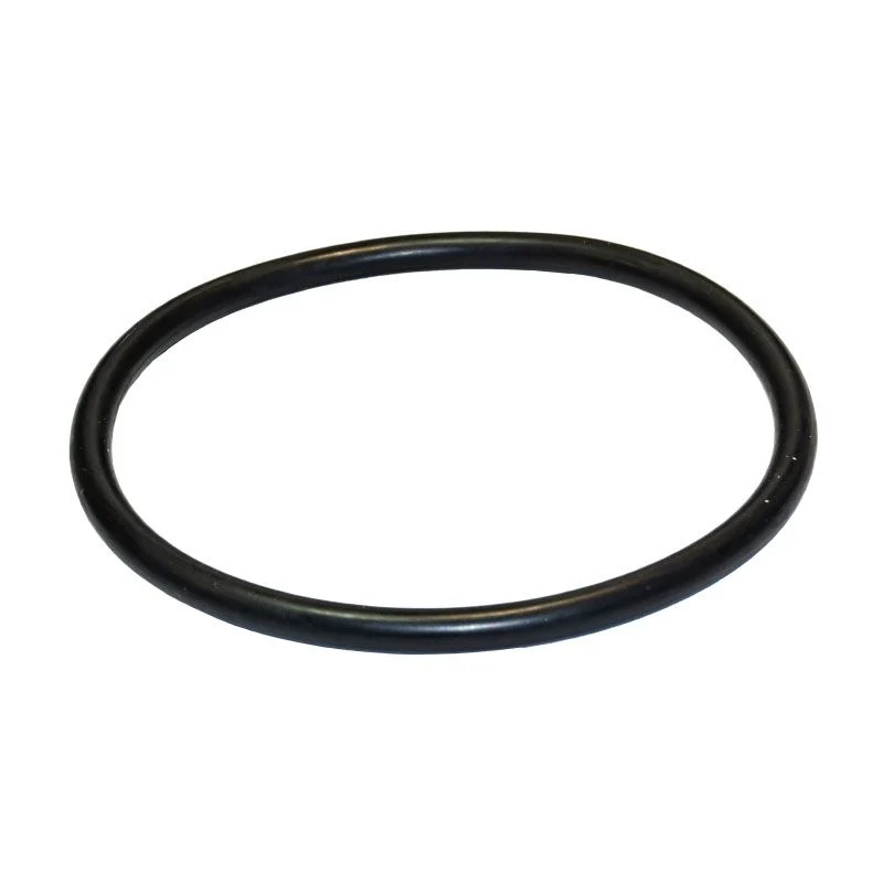Junta torica del prefiltro de la bomba Optima ( 97,8 x 5,34 ) de Saci Pumps