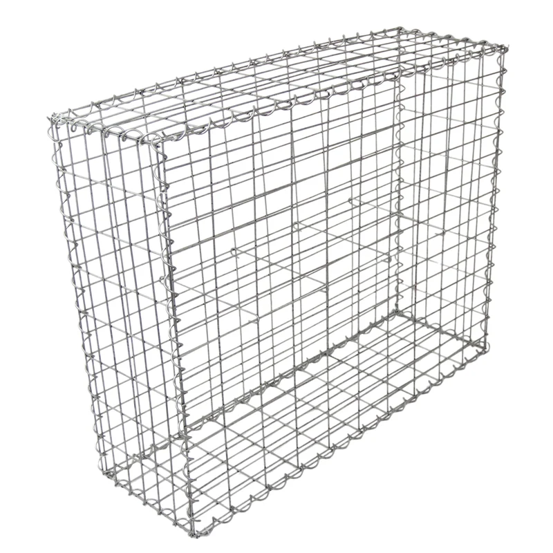 Lot de 2 Paniers de Gabions 100 cm x 95 cm x 30 cm