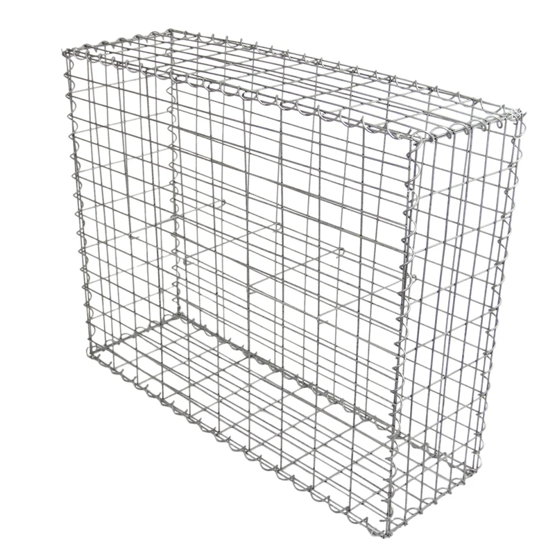 Lot de 2 Paniers de Gabions 100 cm x 80 cm x 30 cm