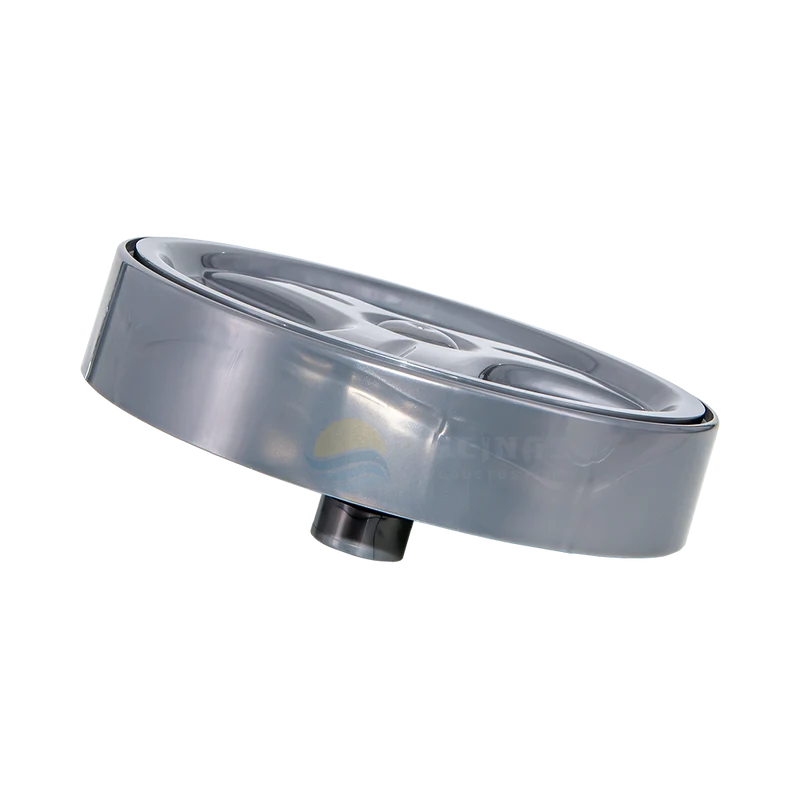 Llanta pequeña R9022 para Limpiafondos Vortex 3.2 de Zodiac