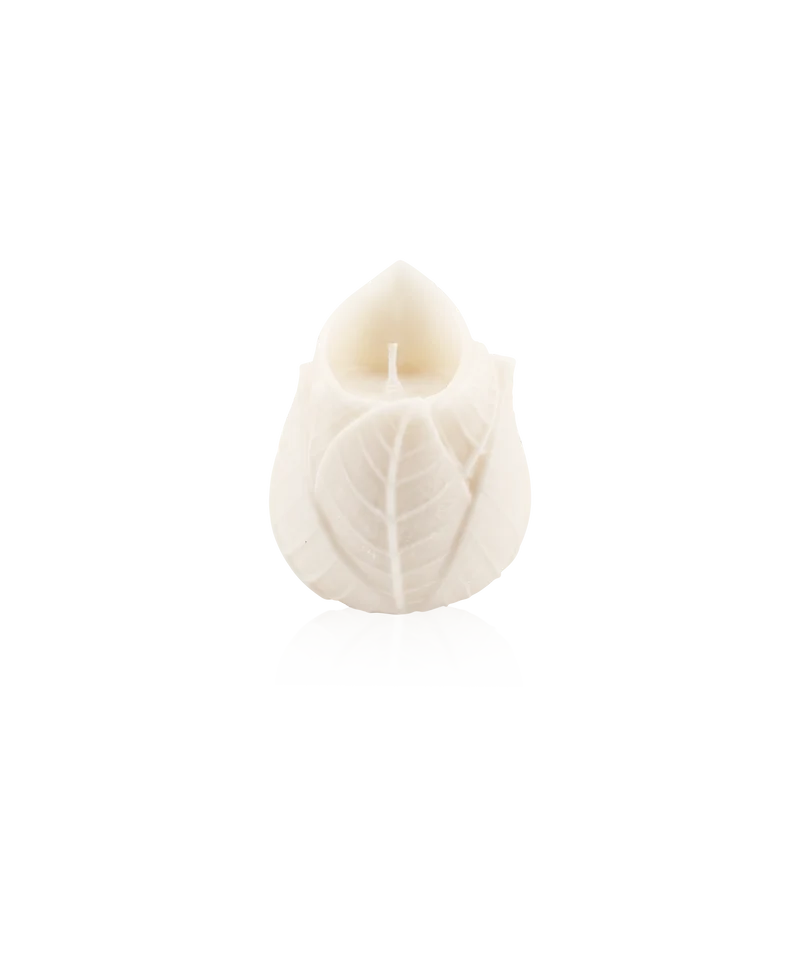 Coffret de 2 bougies sculptées Végétale