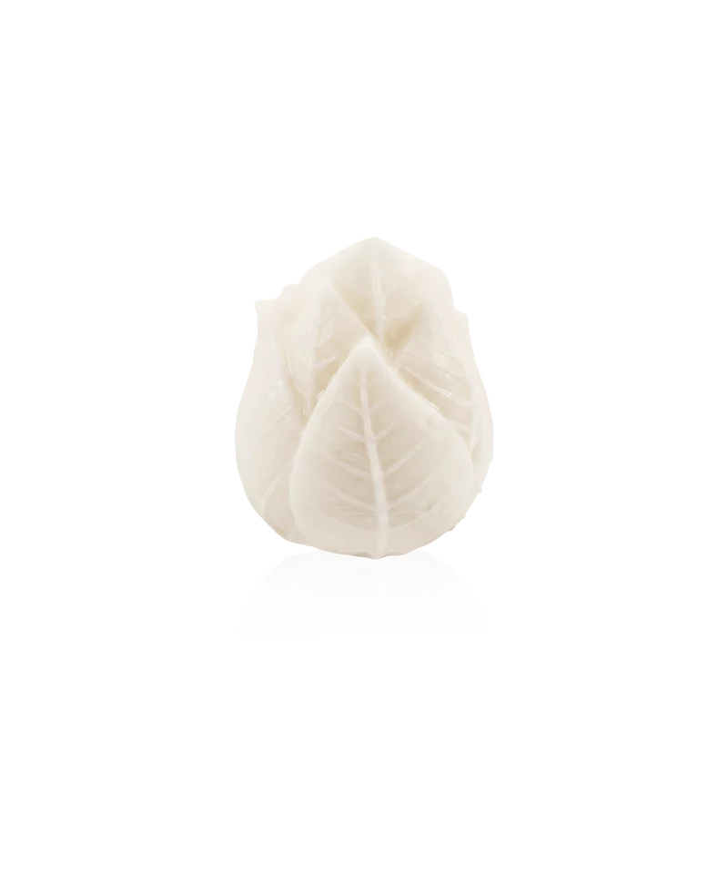 Coffret de 2 bougies sculptées Végétale