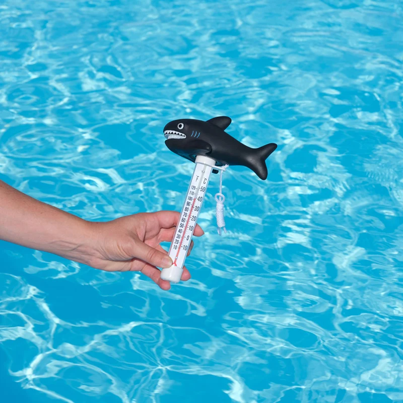 Thermomètre original requin Squale