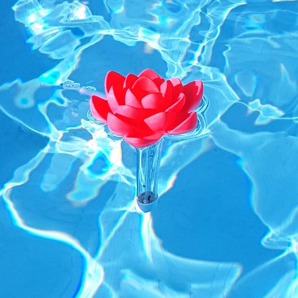 Thermomètre piscine original Tropical